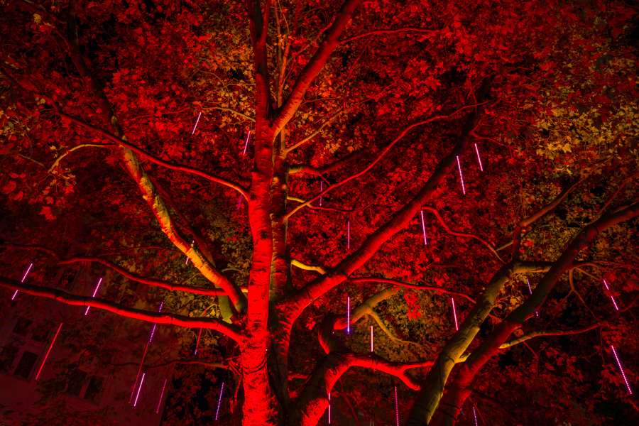 Belichtungsmessung, Spotmessung, Sekonic L-858D, Essen Light Festival, 06