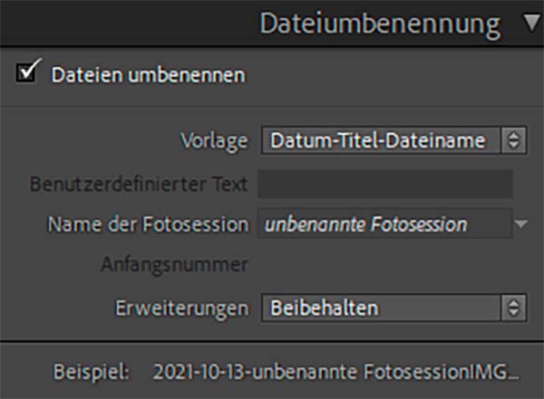 Lightroom, Importdialog nach Wunsch, Voreinstellungen Import-Dialog, 03