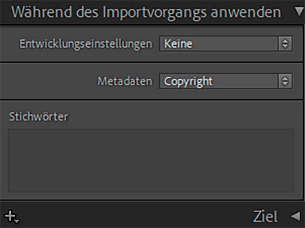 Lightroom, Importdialog nach Wunsch, Voreinstellungen Import-Dialog, 04