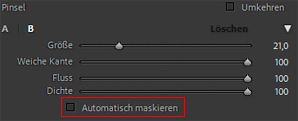 Lightroom Tipps, Maskierung, Tastenkürzel, Shortcut, Maskierungsfarbe, Veränderung Effekt, automatisches Maskieren, 01